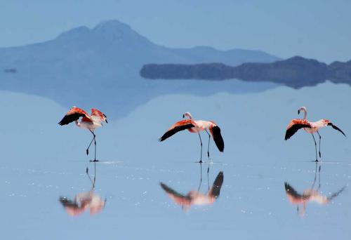 Uyuni